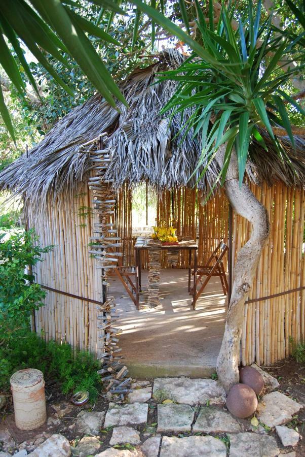 Cottage Sul Lago - Officina Didattica ดอนนาลูกาตา ภายนอก รูปภาพ