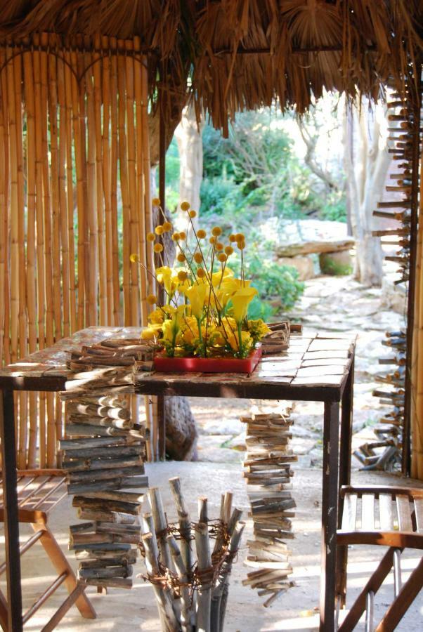 Cottage Sul Lago - Officina Didattica ดอนนาลูกาตา ภายนอก รูปภาพ